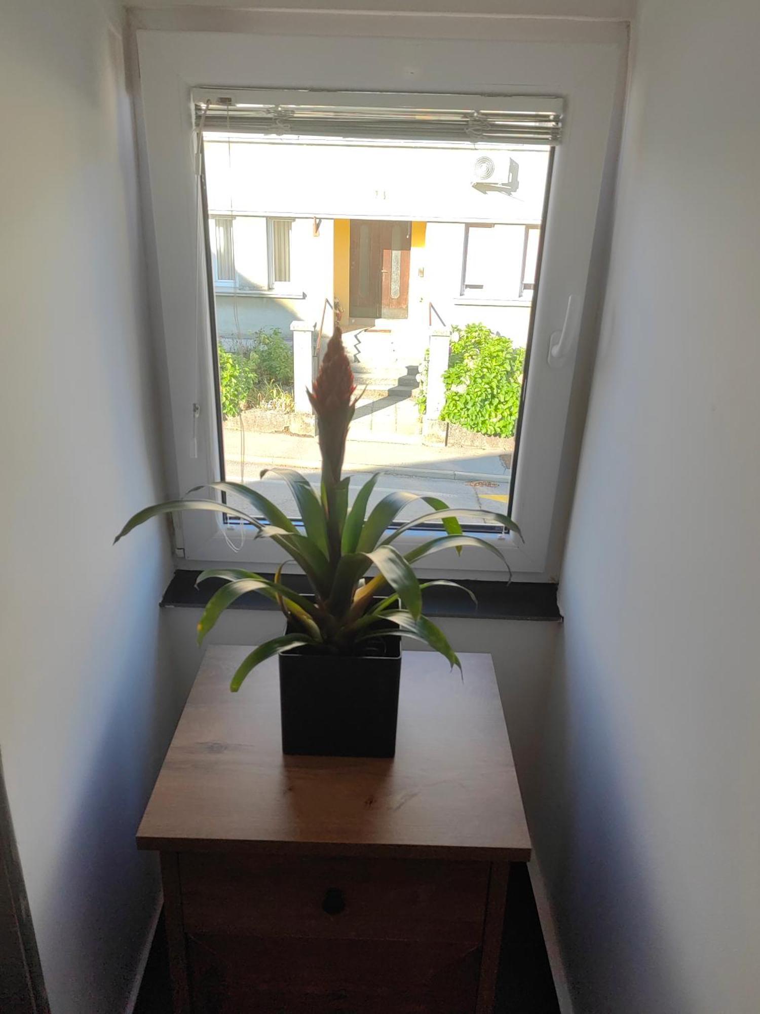 Sana Apartment Постойна Екстериор снимка